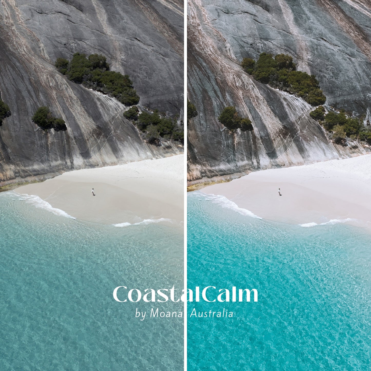 The Moana Ocean Collection