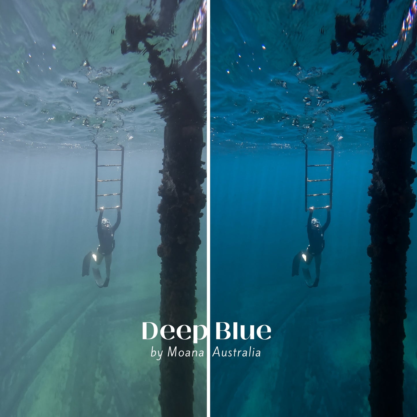 The Moana Ocean Collection